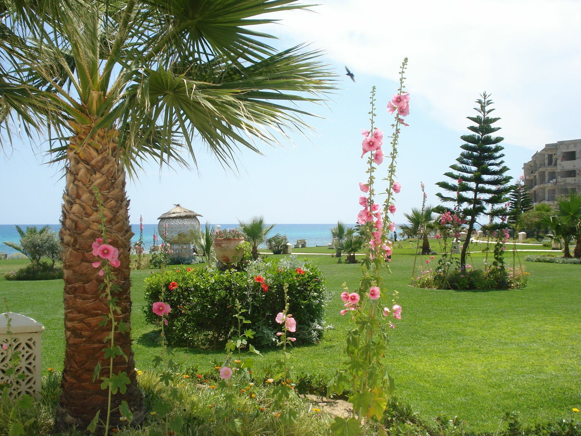 B&B Cote D'Azur Hammamet Buitenkant foto